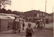 Kiefernhorst.jpg