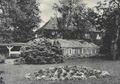 Gewächshaus.jpg
