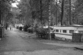 Campingplatz Wernerwald 0324.jpg