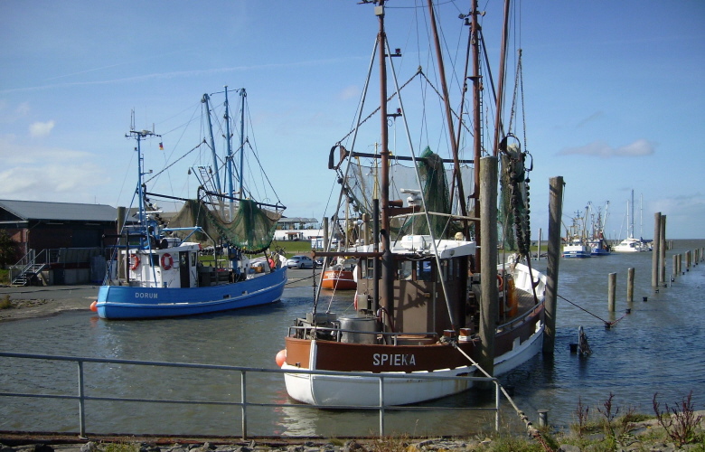 Datei:Dorum DSCI7077.jpg