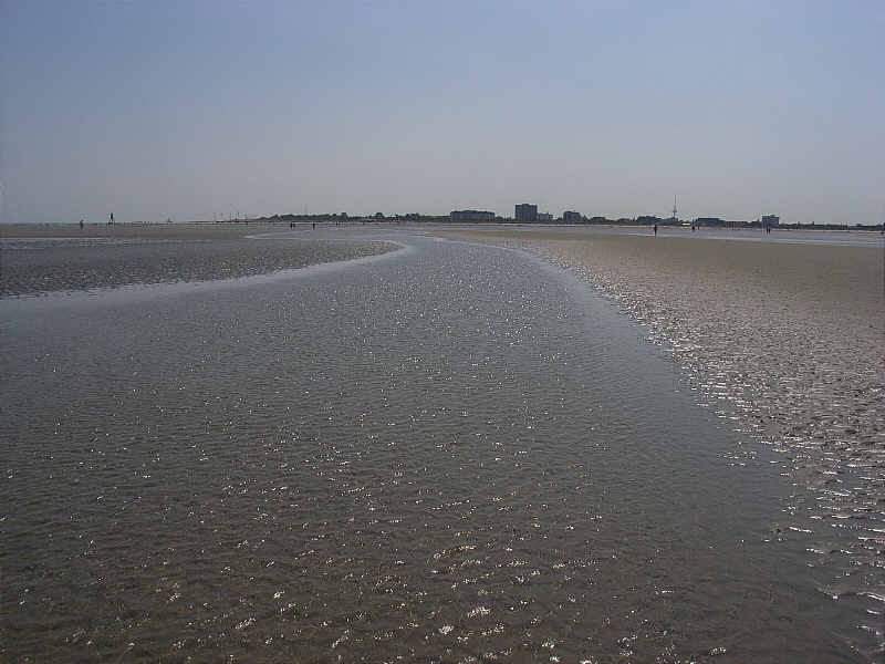 Datei:Watt vor Cuxhaven.jpg