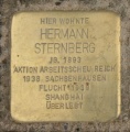 Stolperstein Sternberg H 7733.jpg