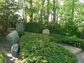 Friedhof Gudendorf IMG 2026-05-07-18-02-46-213.jpg