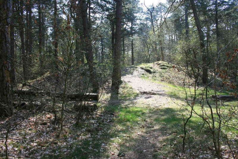 Datei:Feuerberg 3412.jpg