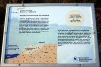 Entdeckungspfad Duhner Heide 9228.jpg