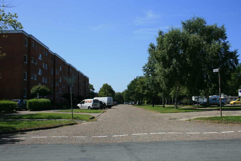 Datei:Buschsand 6962.jpg