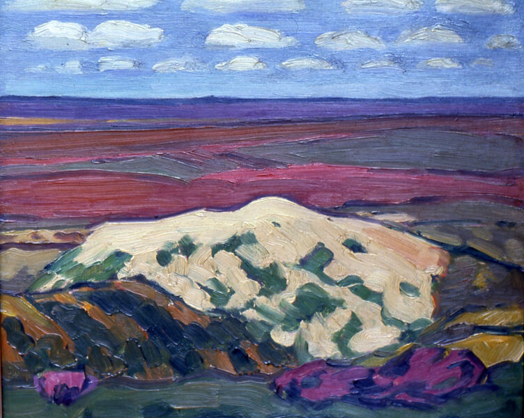 Datei:In der Altenwalder Heide.jpg