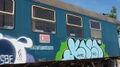 Skaterpark P6160075 pedia.jpg