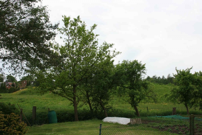 Datei:Franzenburg 1.jpg