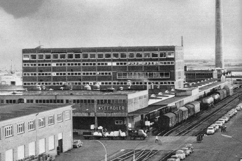 Datei:Seeadler 00.jpg