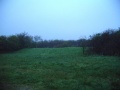 Vorschaubild der Version vom 18. Januar 2011, 12:40 Uhr