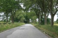 Oxter Weg 2863 1000.jpg
