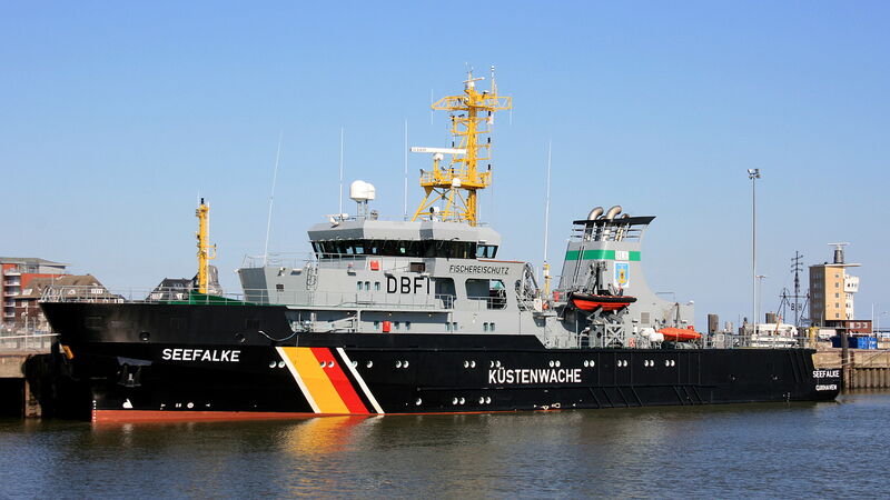 Datei:Seefalke 9029.jpg