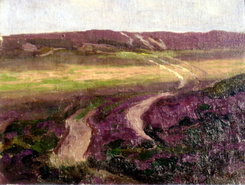 Datei:Die Heide bei Altenwalde.jpg